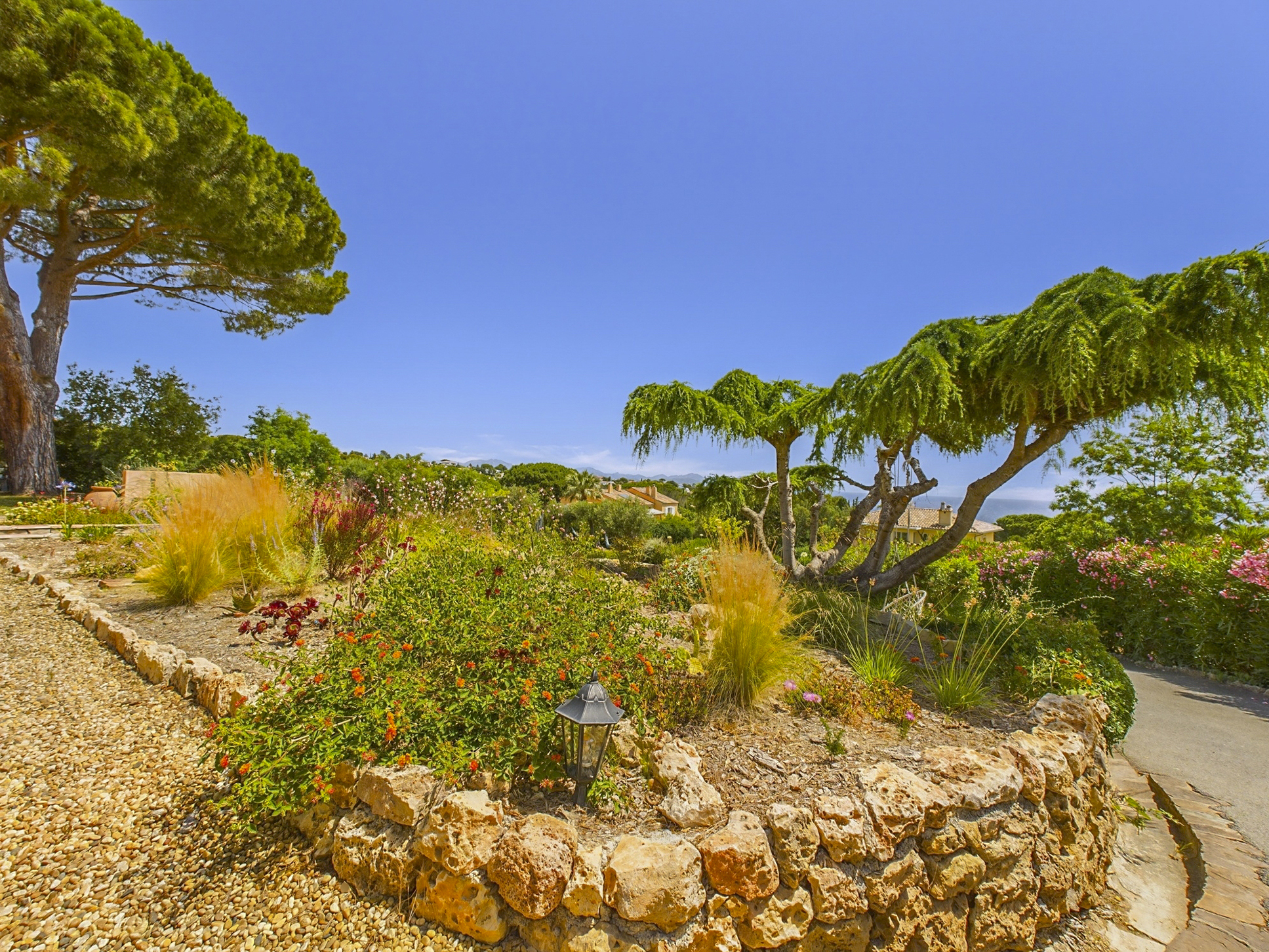 jardin-fleurs